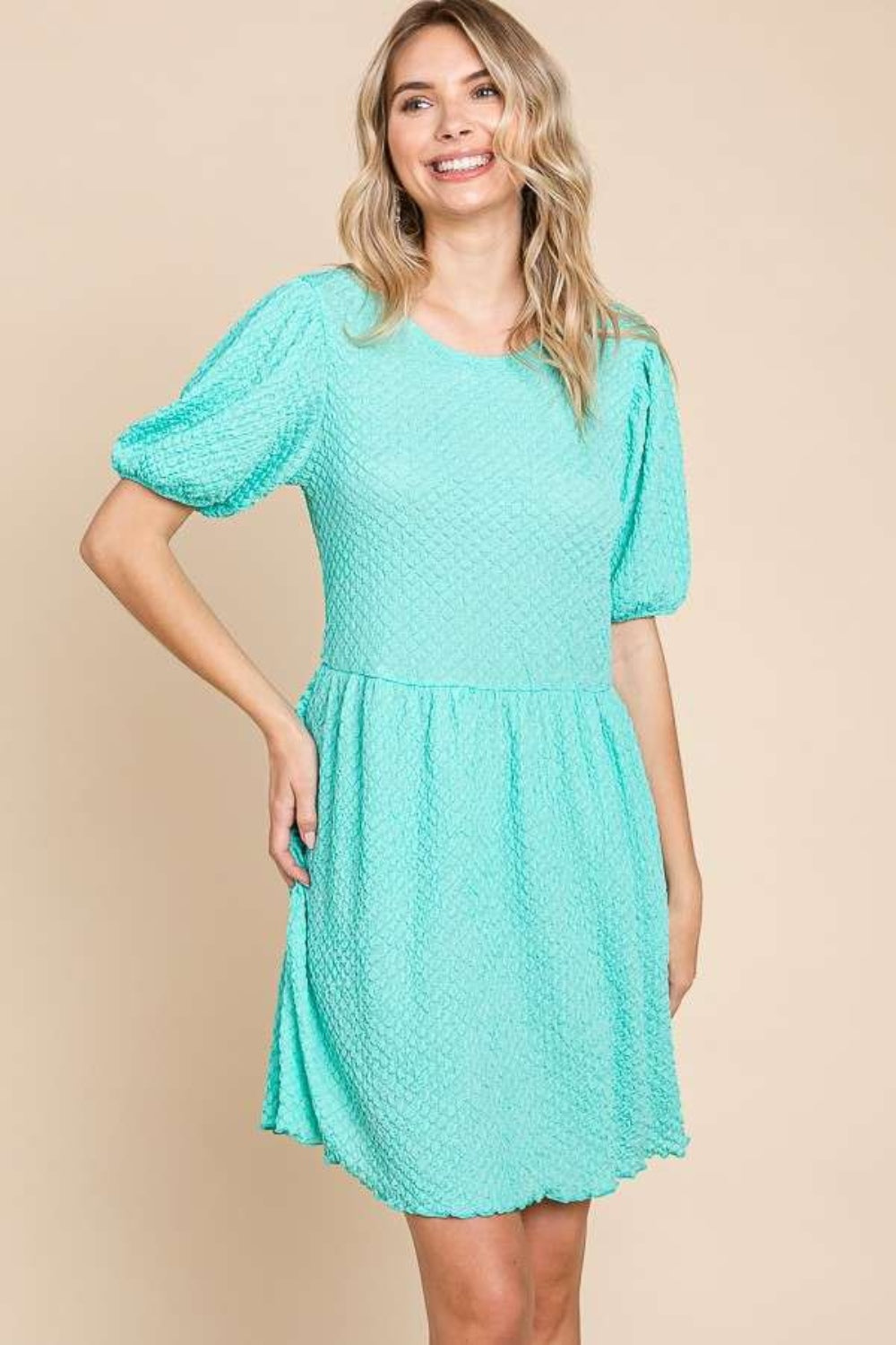 Blue Bird Puff Sleeve Dress