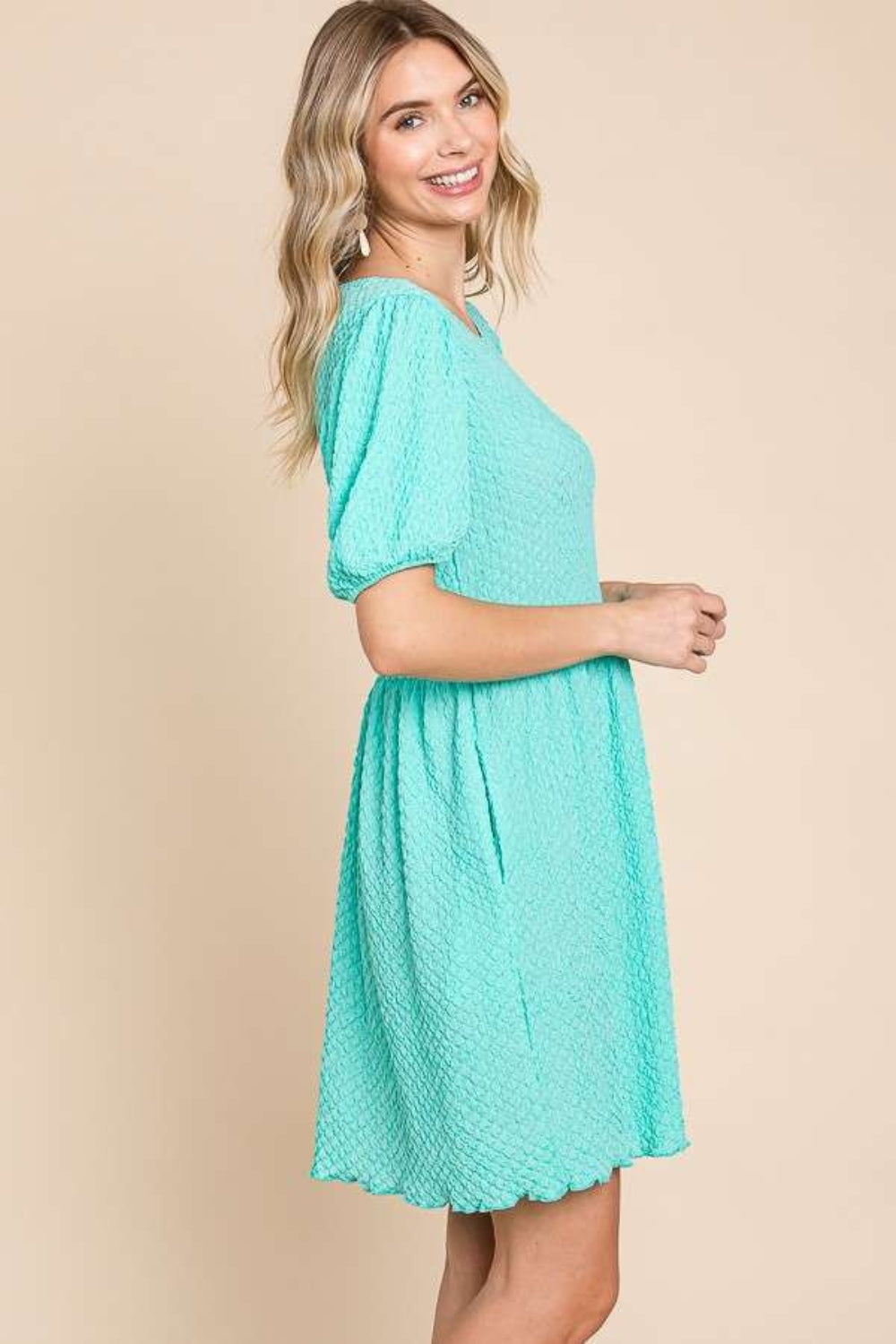 Blue Bird Puff Sleeve Dress