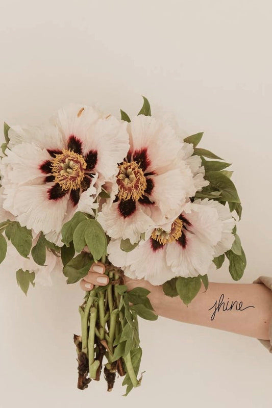 Words For A Season Temporary Tattoo SHINE **FINAL SALE**
